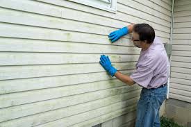 Best Historical Building Siding Restoration  in Earlvle, IL